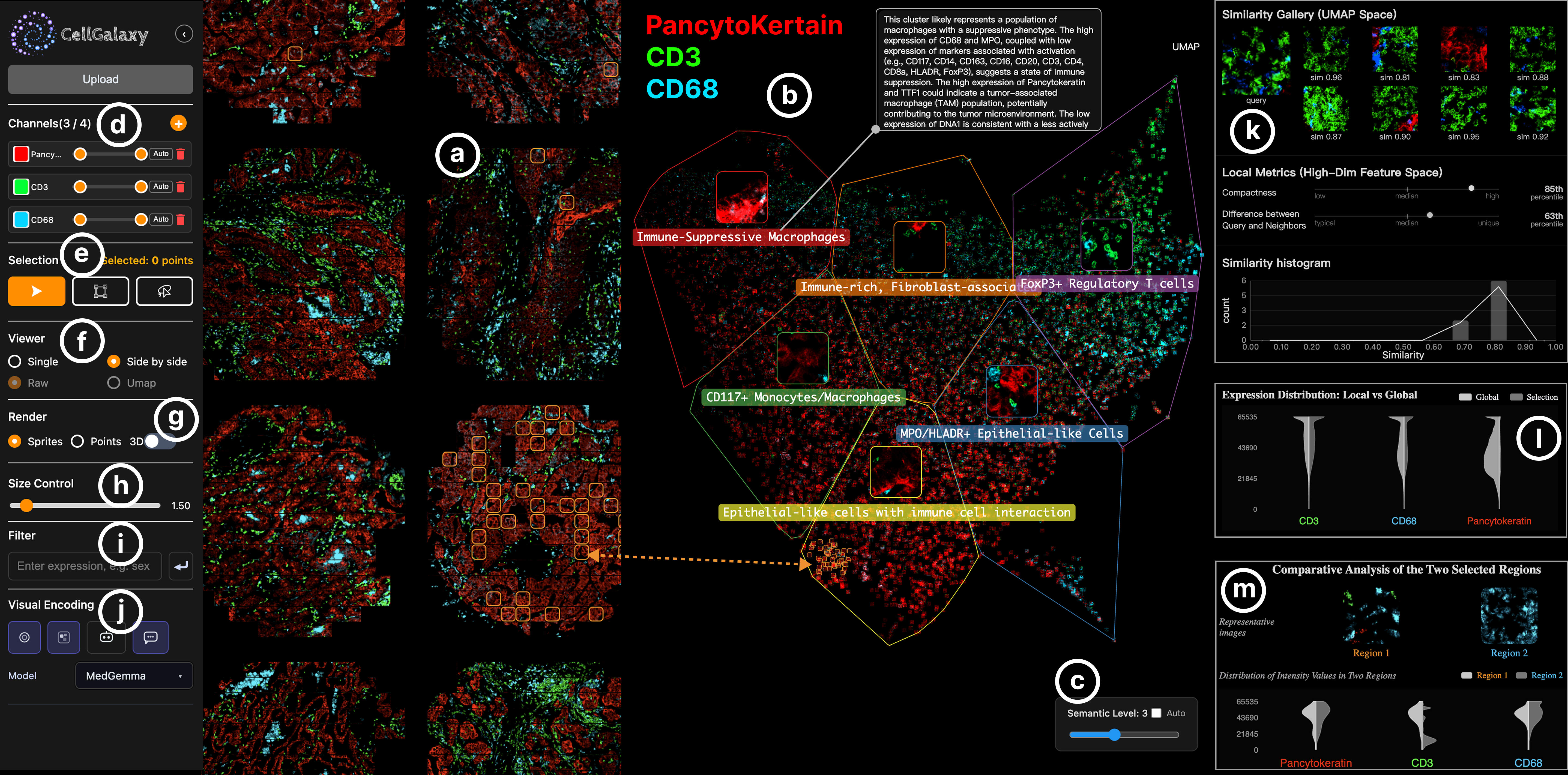CellGalaxy - Multiscale Exploration of Biomedical Image Embeddings